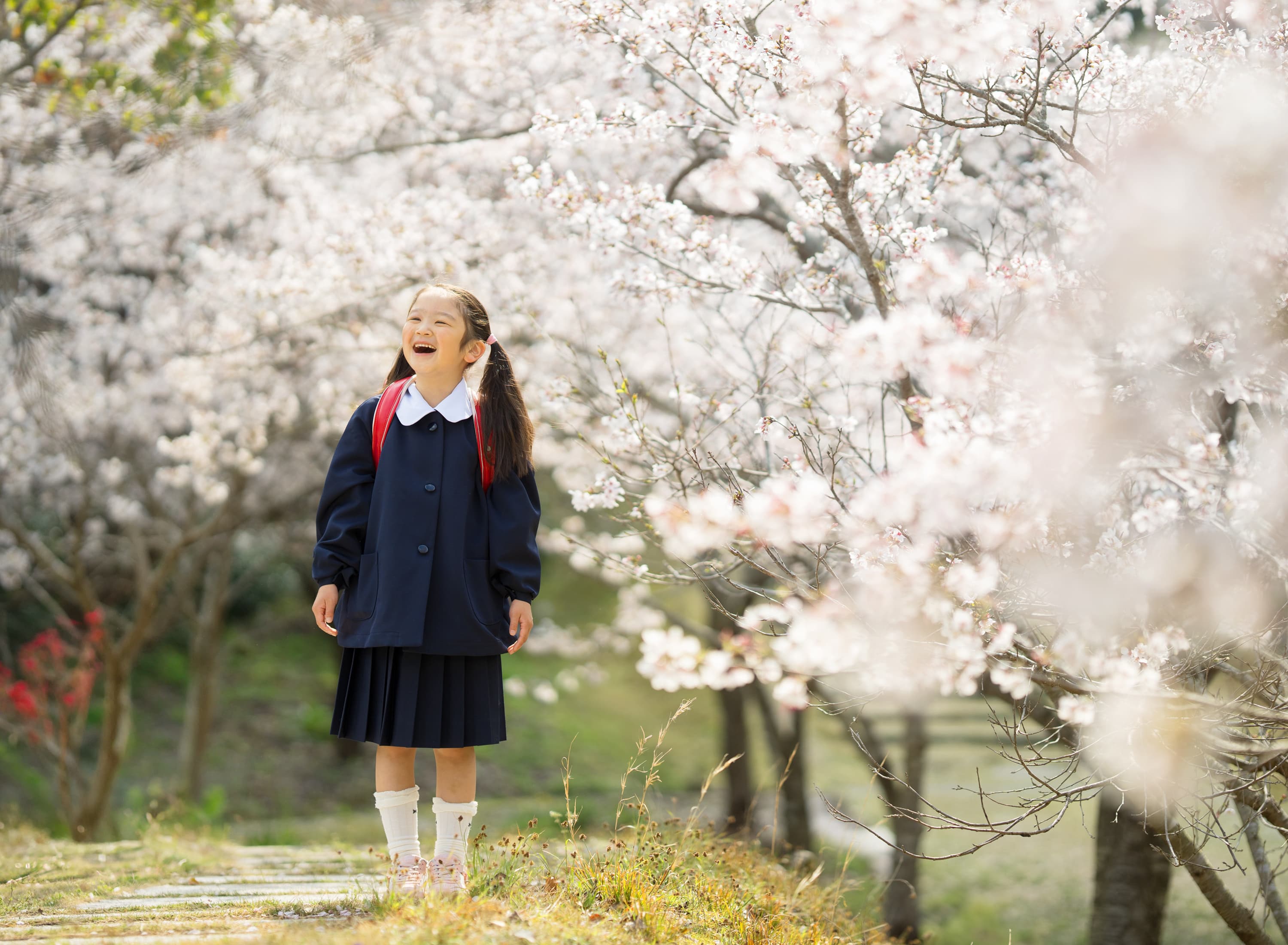 姉妹の入園写真